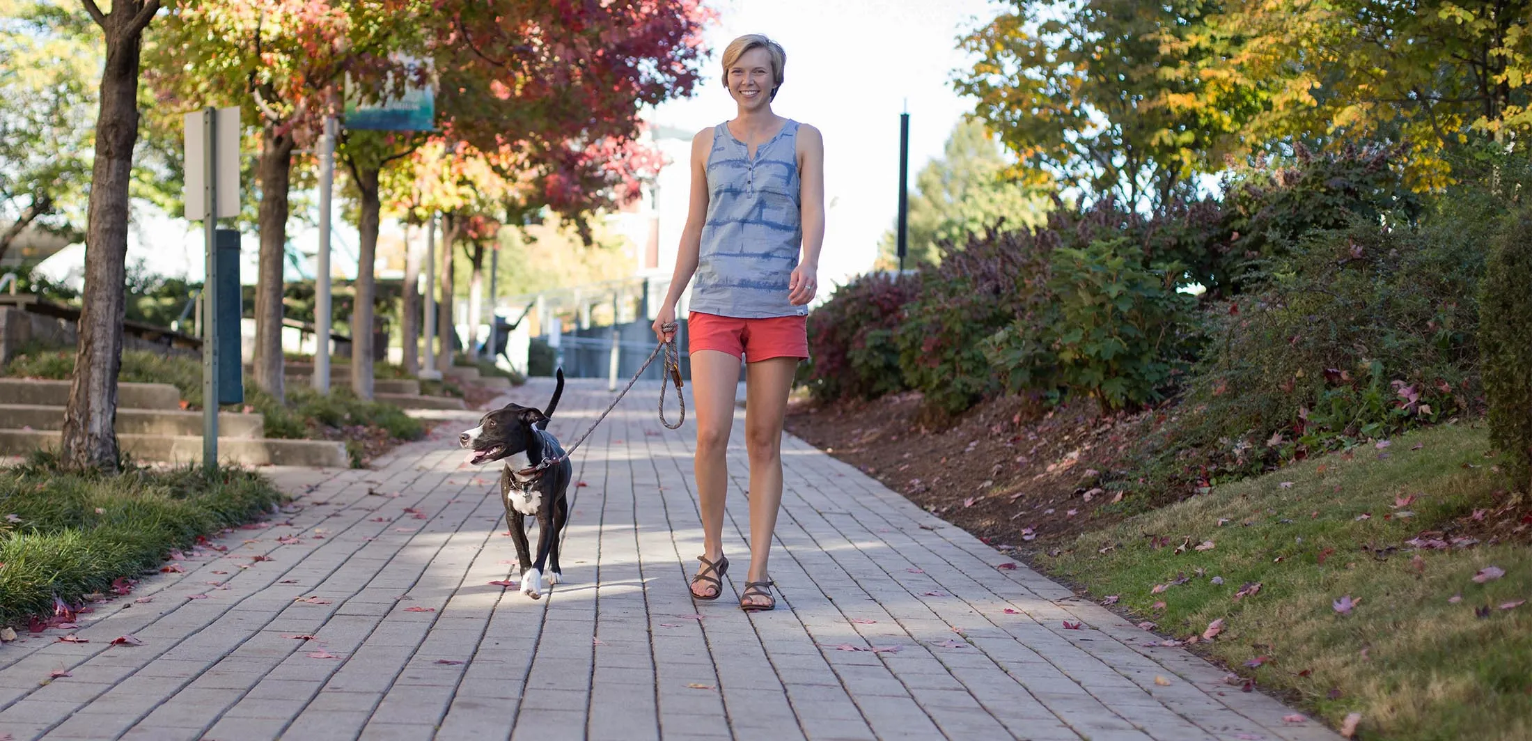 Dog Walking with Happy Hound Pet Sitting in Chattanooga